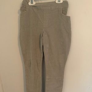 Persnickety Corduroy Riding Pants - Size 10